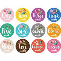 Wodwad First Year Baby Monthly Milestone Photo Sharing Baby Belly Stickers