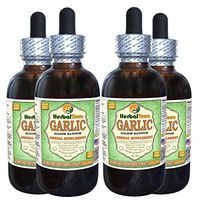 Garlic (Allium Sativum) Glycerite, Organic Dried Alcohol-Free Liquid Extract (Brand Name: HerbalTerra, Proudly Made in USA) 4x4 fl.oz (4x120 ml)