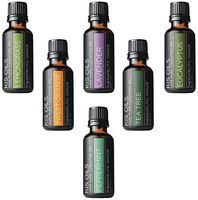 Aromatherapy Top 6 100% Pure Therapeutic Grade Basic Sampler Essential Oil Gift Basic Sampler Essential Oil Gift Set 6-30ML (Tea Tree, Sweet Orange, Lemongrass, Eucalyptus, Lavender, Peppermint)