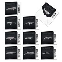 10 Assorted All Occasion Blank Note Cards 'Whale Known' 4 x 5.12 inch w/Envelopes - Informational Notecards, Illustrated Images of Whales - Earth's Largest Sea Animal Assortment Box MQ4960OCB-B1x10