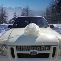 Large White Car Bow - 16" Wide, Healthcare Worker's Support Ribbon, Valentine's Day, Birthday, Anniversary, Christmas, Wedding, School Dance, Classroom, Fundraiser, Office, Reception, Party