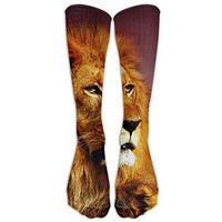 Big Lion Knee High Graduated Compression Socks For Women And Men - Best Medical, Nursing, Travel & Flight Socks - Running & Fitness