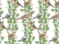 Farmhouse Birds Print Design Gift Grade Tissue Paper Sheets - 15" x 20" Choose Package Amount (240)