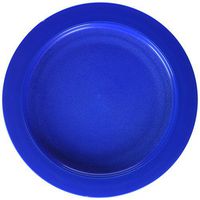 Sammons Preston Plate with Inside Edge, 9" Plate with Food Spill Prevention Aid, Durable Plates with Inner Lip, Eating Support for Children, Adults, Elderly and Disabled, Polypropylene, Blue
