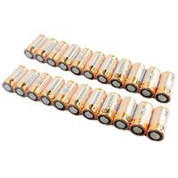 22Pcs 6V PX28 28A A544 PX28A 4LR44 4G13 V4034PX Batteries