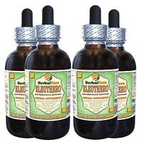 Eleuthero (Eleutherococcus Senticosus) Glycerite, Dried Leaves Alcohol-Free Liquid Extract (Brand Name: HerbalTerra, Proudly Made in USA) 4x4 fl.oz (4x120 ml)