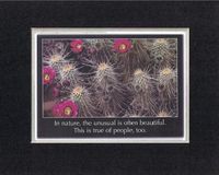 Touching and Heartfelt Poem for Motivations - [In nature, the unsual is often beautiful. This is true of people, too.] Motivational Saying on BlackOnWhite 8 x 10 inches Double Beveled Matting