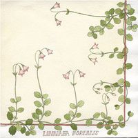 Linnea Borealis Flower Luncheon Napkin - Cream