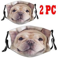 Lovely Pug Dust Mouth Mask - Animal Pet Print Dust Face Mask Surgical Masks Particulate Respirator Reusable 2PC (Cute Dog M)