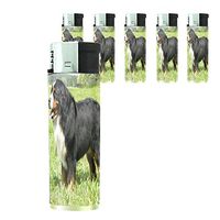 Dog bernese mountain dog Lighter Set of 5 Pieces