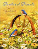 Greg Giordano "Feathered Friends" Birds Thank You Mini Note Cards Assortment #34670