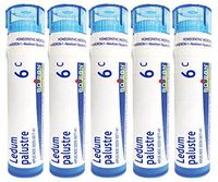 Boiron Ledum Palustre 6C (Pack of 5), Homeopathic Medicine for Insect Bites