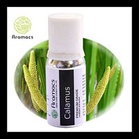 Calamus Oil - Therapeutic Grade Holy Anointing Essential Oil 20 ML