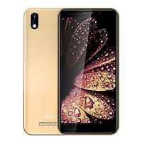 Rcsbtd Double SIM(Black), Network: 3G, 5.0 inch Android 8.0 GO MTK6580M Quad Core up to 1.3GHz, 1GB+8GB (Color : Gold)
