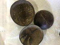 Kava Drinking Coconut Cups 3 pcs- Bestfijikava| kava root powder| Kava kava Organic| kava powder bulk| kava kava Concentrate