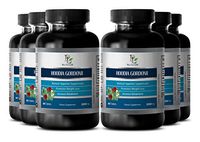 Belly Fat Burner Pills - Pure HOODIA GORDONII Extract 2000mg - Increase Endurance - 6 Bottles 360 Tablets