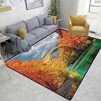 Checkered Children's Software Games, Overcast Landscape of Historical Konitsa Bridge and Aoos River with Autumn Trees, Fashionable High Class Living Dinning Room(6'x 9')