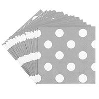 JAM PAPER Small Polka Dot Beverage Napkins - 5 x 5 - Silver with Polka Dots - 48/Pack