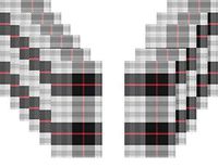 Christmas Holiday Winter Black and Red Plaid Disposable Guest Towels - 2 Pack - 32 Total