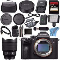 Sony ILCE7RM3/B Alpha a7R III Mirrorless Digital Camera (Body Only) FE 12-24mm f/4 G Lens SEL1224G + 256GB SDXC Card + Professional 160 LED Video Light Studio Series + Micro HDMI Cable Bundle