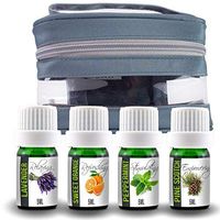 Aroma2Go Essential Oil Set with Travel Carry Case. Great for Aromatherapy Uses. 100% Pure Plant Based 5ML Size Bottles of Lavender, Sweet Orange, Peppermint and Pine Scotch Included.
