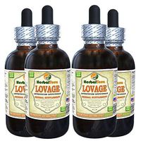 Lovage (Levisticum Officinale) Tincture, Organic Dried Root Liquid Extract (Brand Name: HerbalTerra, Proudly Made in USA) 4x4 fl.oz (4x120 ml)