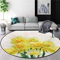RUGSMAT Daffodil Round Rug Kid Carpet,Digital Watercolors Paint of Daffodils Bouquet Called Jonquils in England Lily Home Decor Foor Carpet,Diameter-39 Inch Yellow Green