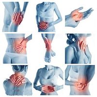 ATANG 2019 New Medical Cold Veterinary Laser Therapy Equipment for Pain Relief Wound Healing Sports Injury Animal Hurt Pains