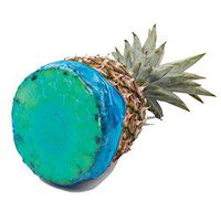 Aviat 4 Pcs Silicone Wrap Lids Retain Freshness Food Wrap Bag Saver Stretched Cover Fruit Or Bowls Cups Keeping Food Fresh Tools