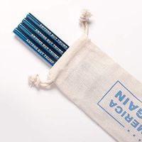 Anti-Trump Stainless Steel Straws (4, ABT)