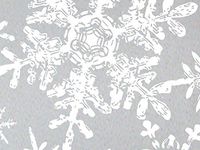 Christmas Snowflakes Silver 24"x417