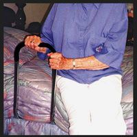 RI501EA - Freedom Grip Bed Rail, 20-1/2 H x 9 W Handle, 28 L x 20 W Board