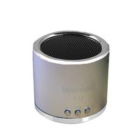 Bluetooth Speaker, ZYooh Mini Speaker FM Radio USB Micro SD TF Card MP3 Player Wireless Portable Wireless Speaker Wireless Bluetooth Speaker Stereo Speaker Silver