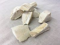 海螵蛸 | Cuttlefish Bone