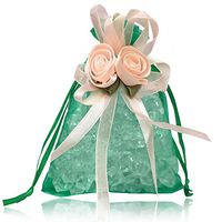 BZCTAH Organza Transparent Jewelry Pouch Bag, Tulie Tulle Drawstring Gift Bag Gift Bag Value Set(20 pcs Tulle Gift Pouch), Pretty Gift Bags for Wedding, Chrsitmas Party, 5.1"x7.1", Grass Green