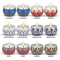 Scented Candles Gift Set, 100% Natural Soy Wax Travel Tin Candles for Stress Relief and Aromatherapy Relaxation (Scented Candles, 12 Pcs)