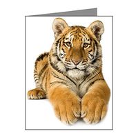 Note Card Bengal Tiger Youth