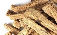 Codonopsis Root - Dang Shen (党参) Dried Radix Codonopsis 100% from Nature (16 oz)