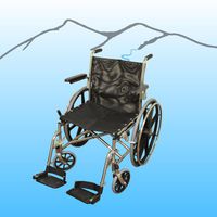 Aqua Creek 20" SS Folding Aquatic Wheelchair Model F-051SSWC