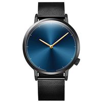 Fxbar,Minimalist Mens Watches Quartz Analog Wrist Watch Classic Milanese Mesh Band Business Wristwatch(D)