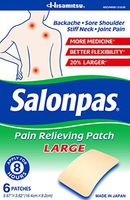 Salonpas Pain Relief Patches, Large, 6 Count - Pack of 10