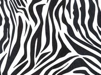 Zebra Striped Tissue Paper for Gift Wrapping 15"x20" Sheets Animal Print Safari (50)