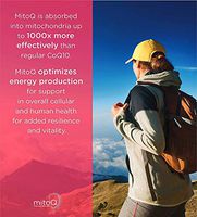 MitoQ Antioxidant Supplement 180 Capsules - Advanced CoQ10 Ubiquinol for Healthy Organs and Cellular Health Support