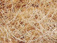 Natural Fine Wood Excelsior 1/4 Bale Box ~ Aspen Wood Fibers (1 Box) - WRAPS-FWE14