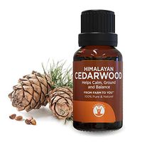 GuruNanda Cedarwood Essential Oil - Aromatherapy - GCMS Tested & Verified 100% Pure Essential Oils - Undiluted - Therapeutic Grade - 15 ml (20 Count)