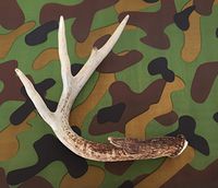 Camouflage Camo Printed Tissue Paper for Gift Wrapping, 24 Sheets