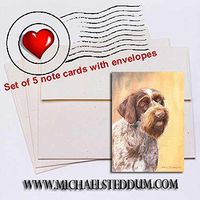 Michael Steddum German Wirehaired Pointer Head Study II Note Card Set