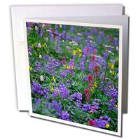 3dRose Summer Flowers Send Forth a Riot of Color Mt. Rainier NP Washington Greeting Cards, Set of 12 (gc_191058_2)