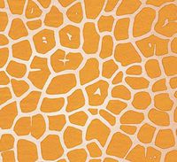 Candy Stripe Daisies Daisy Flowers Art DIY Crafts Tissue Paper for Gift Wrapping 15"X20" 5 Sheets