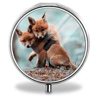 Large Portable Little Foxes Pill Box/Organizer/Case for Pills/Vitamin/Fish Oil/Supplements/Medication